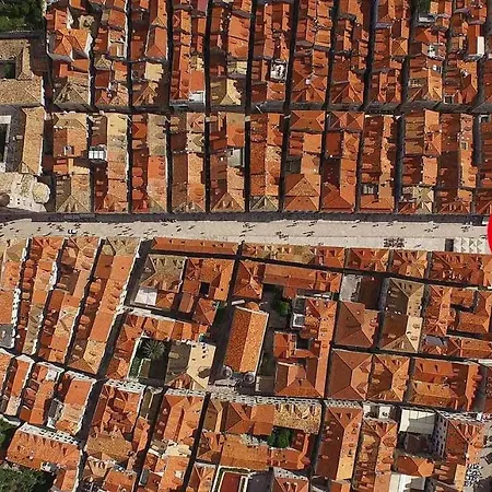 The Saint Blaise Swanky Collection