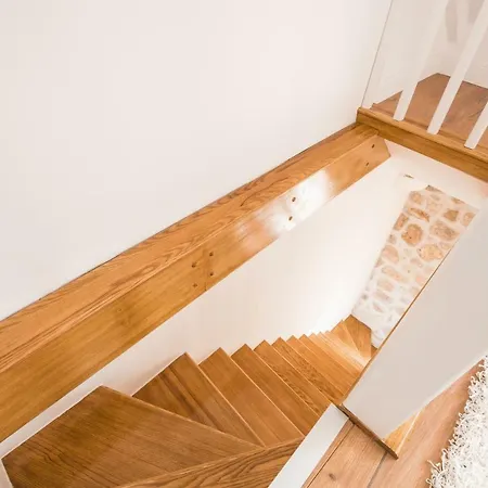 The Saint Blaise Swanky Collection *